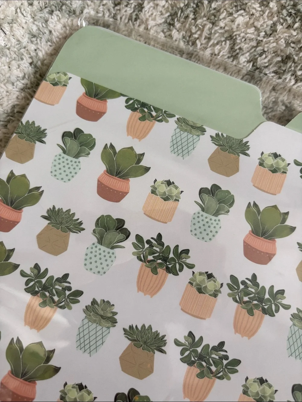 Punch Studio Designer Mint Green Succulent Cactus File Folders Set of 9 NWT